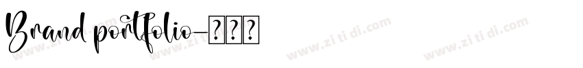 Brand portfolio字体转换